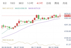 8月13日黄金早盘解析