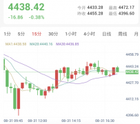 沃什鹰派讲话重挫金银